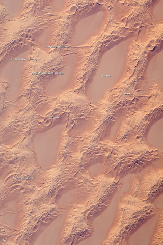 Illustration for article titled The Shifting Sands Of The Sahara Are A Lesson In Dune DynamicsÂ